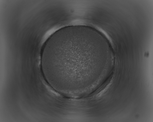 X0000091701461200708241212