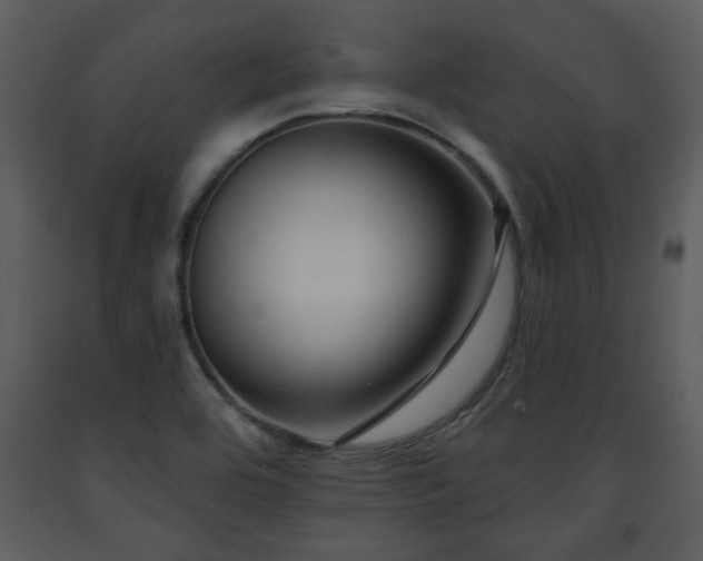 X0000091701464200708241212
