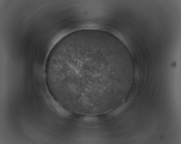 X0000091701466200708241212