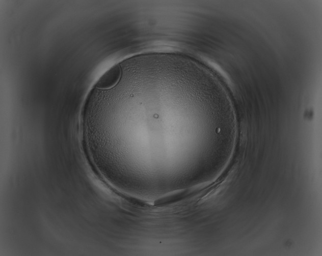 X0000091701467200708241212
