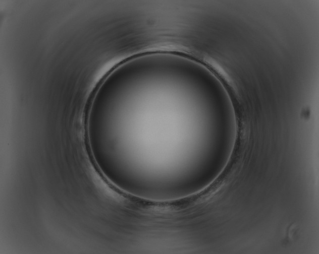 X0000091701468200708241212