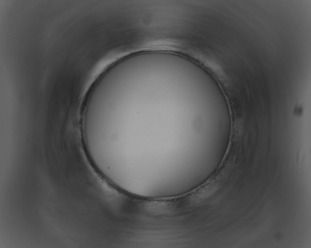 X0000091701470200708241212