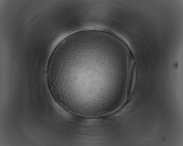 X0000091701471200708241212
