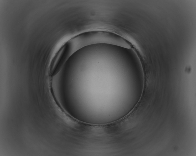 X0000091701472200708241212