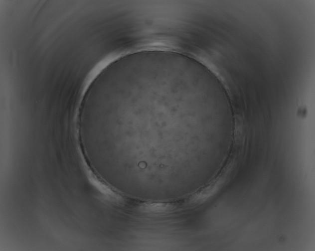 X0000091701474200708241212