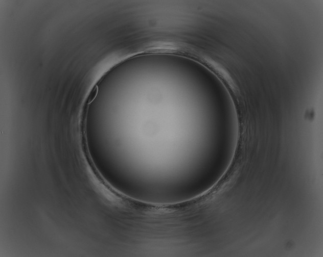 X0000091701475200708241212