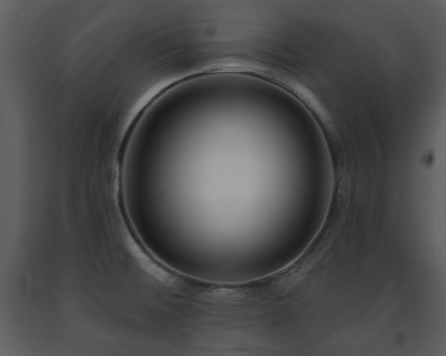 X0000091701476200708241212