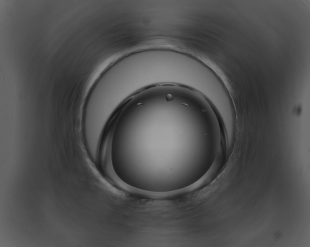 X0000091701477200708241212