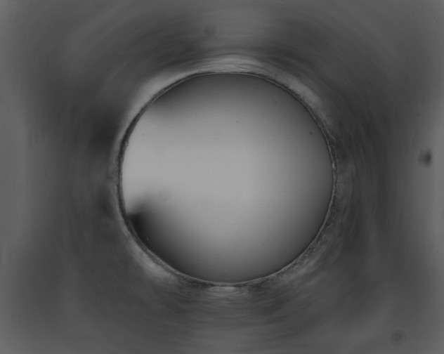 X0000091701478200708241212