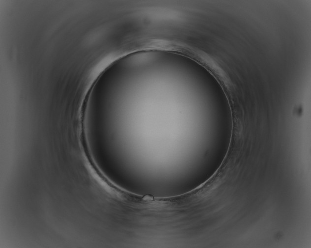 X0000091701479200708241212