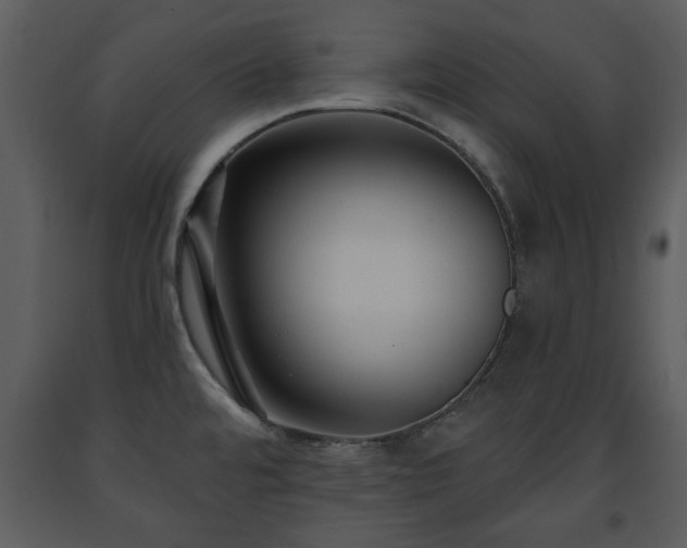 X0000091701480200708241212