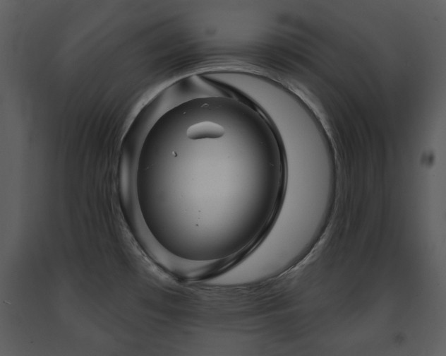 X0000091701481200708241212