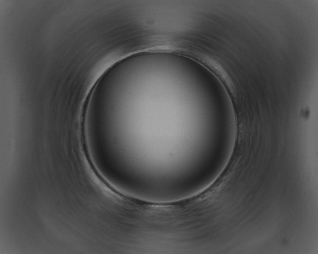 X0000091701483200708241212