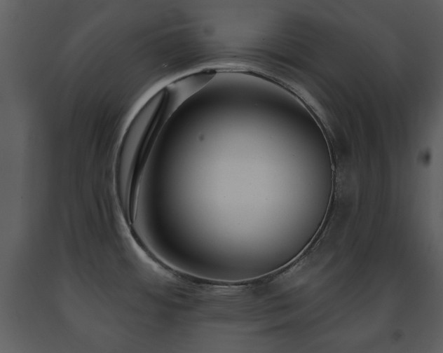 X0000091701484200708241212