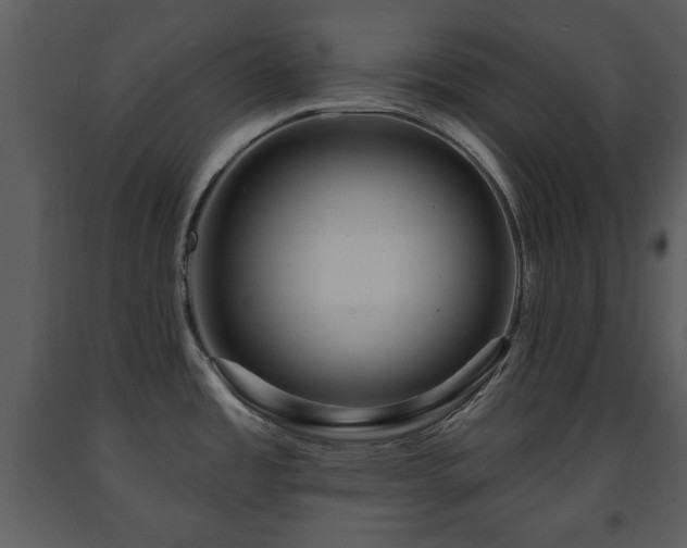 X0000091701485200708241212