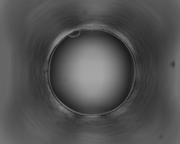 X0000091701486200708241211