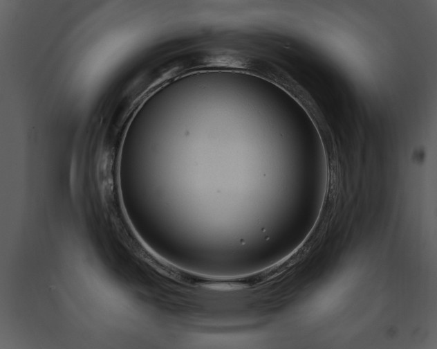 X0000091701487200708241211