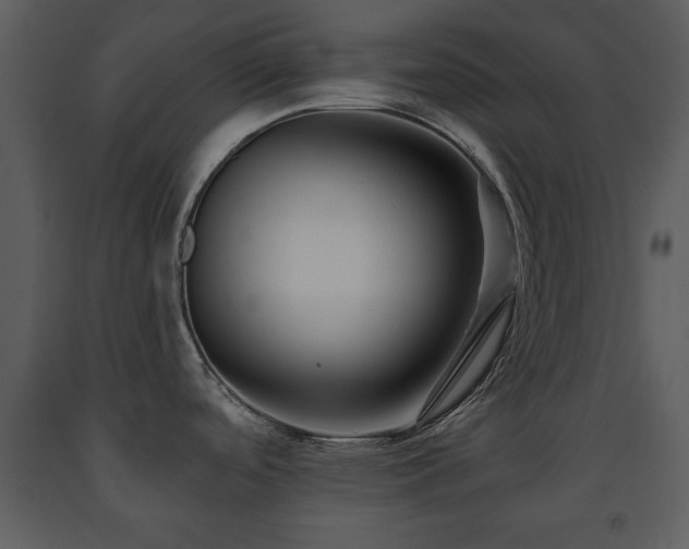 X0000091701488200708241211