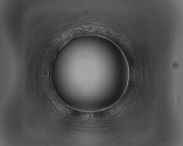 X0000091701489200708241211