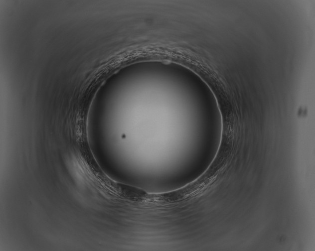 X0000091701490200708241211