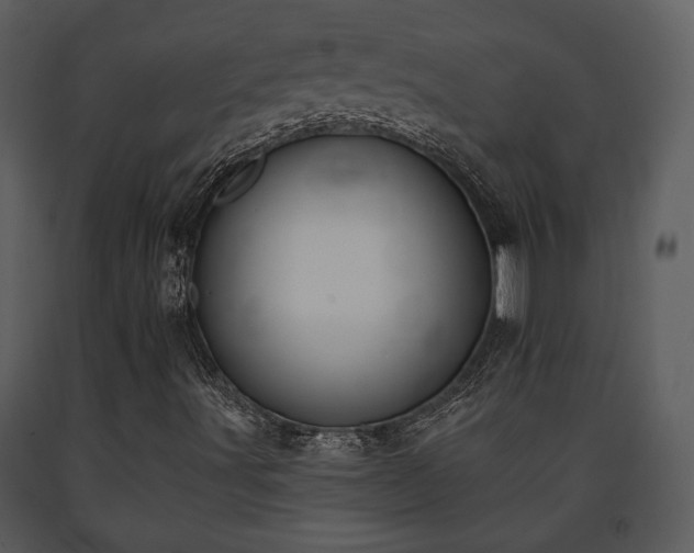 X0000091701491200708241211