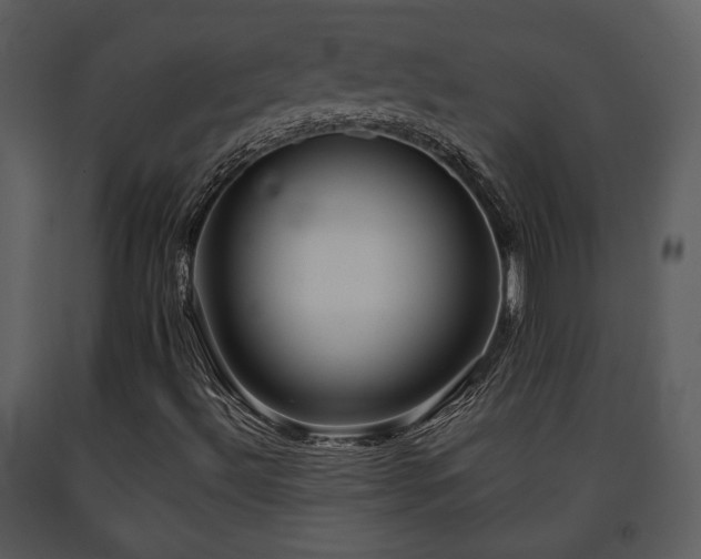 X0000091701492200708241211