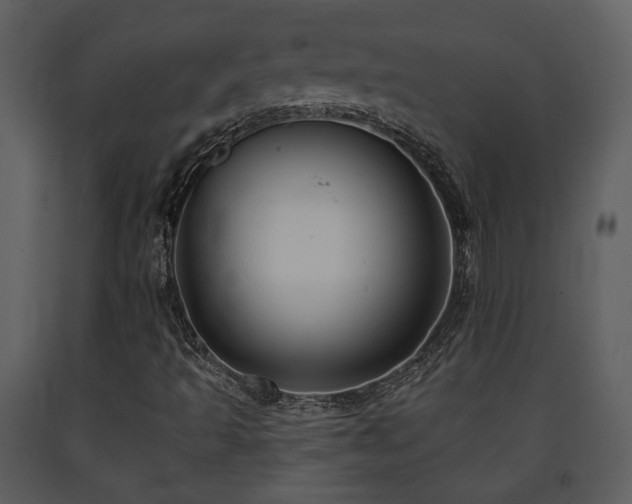 X0000091701493200708241211