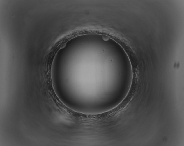 X0000091701494200708241211