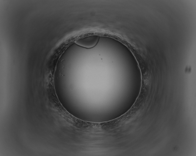 X0000091701495200708241211