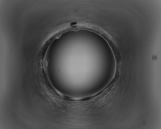 X0000091701496200708241211