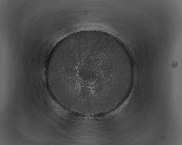 X0000091701497200708241211