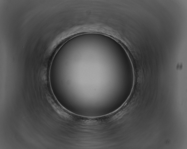 X0000091701499200708241211