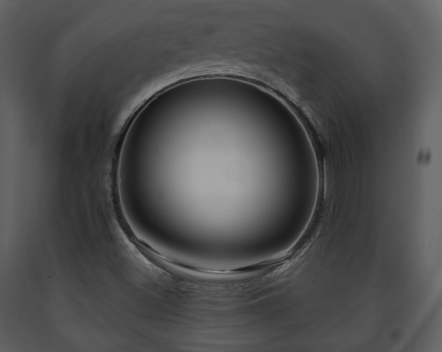 X0000091701500200708241211