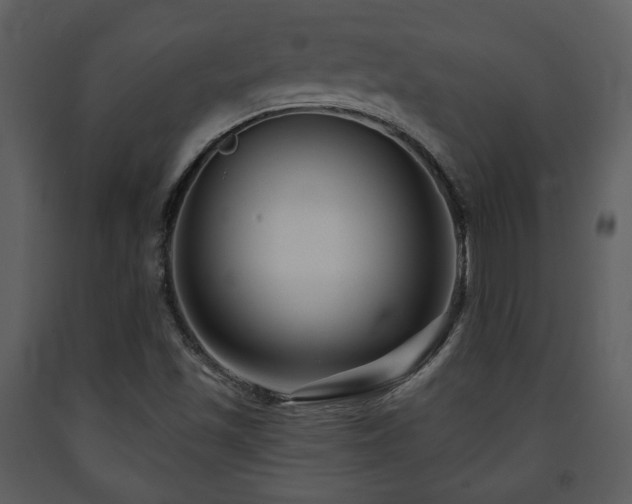 X0000091701501200708241211