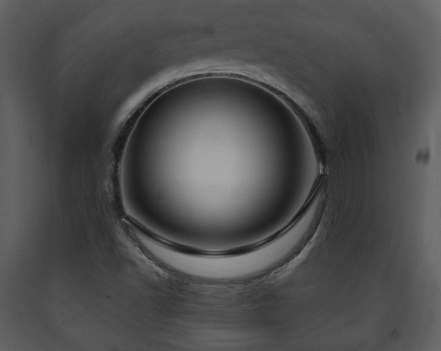 X0000091701502200708241211
