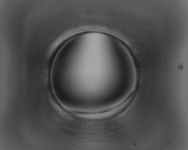 X0000091701503200708241211