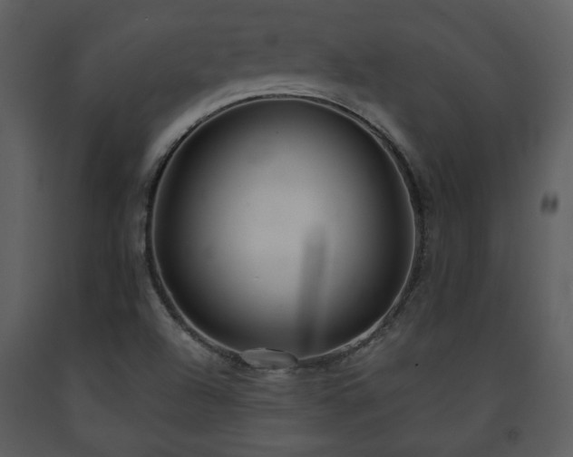 X0000091701504200708241211