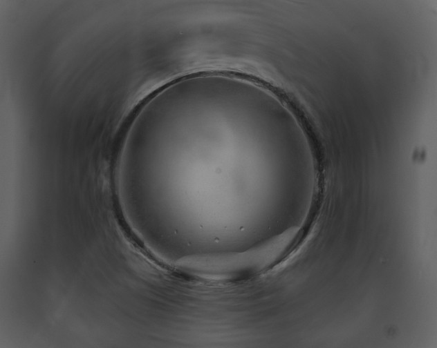 X0000091701505200708241211