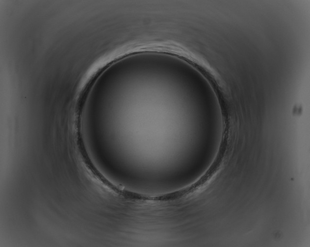 X0000091701506200708241211