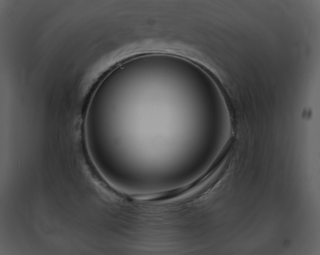X0000091701507200708241211