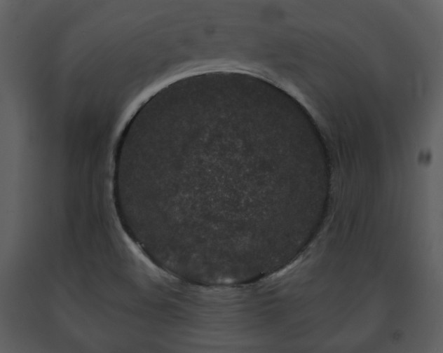 X0000091701508200708241211