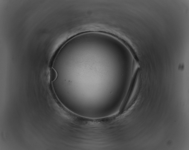 X0000091701509200708241211