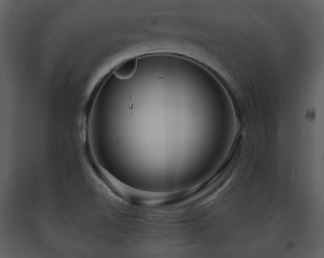 X0000091701510200708241211