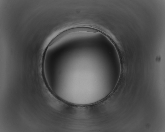 X0000091701512200708241211