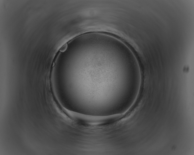 X0000091701513200708241211