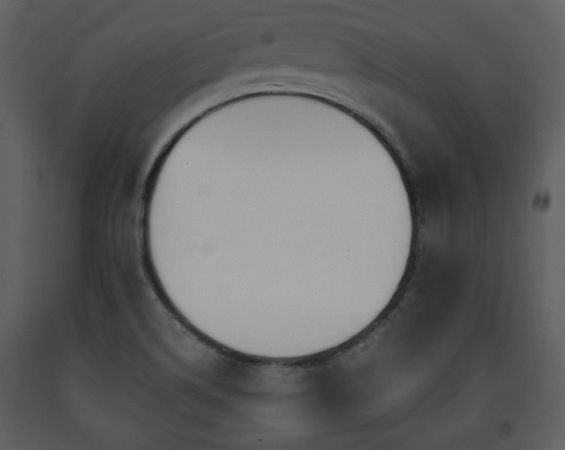 X0000091701514200708241211