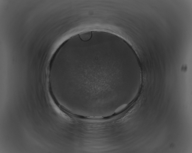 X0000091701515200708241211