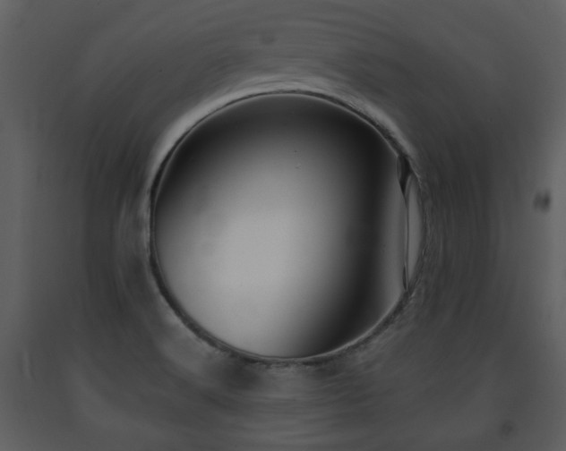 X0000091701516200708241211