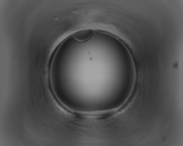 X0000091701517200708241211