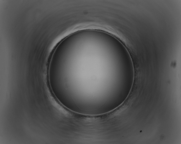 X0000091701518200708241211